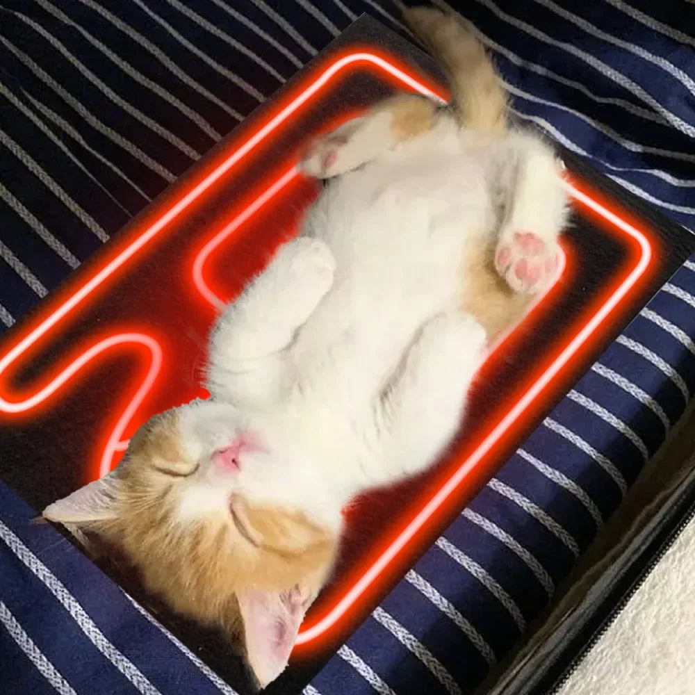 Almofada Aquecida USB Lavável - Cães/Gatos/Répteis de Estimação, Segura, Inverno Quente