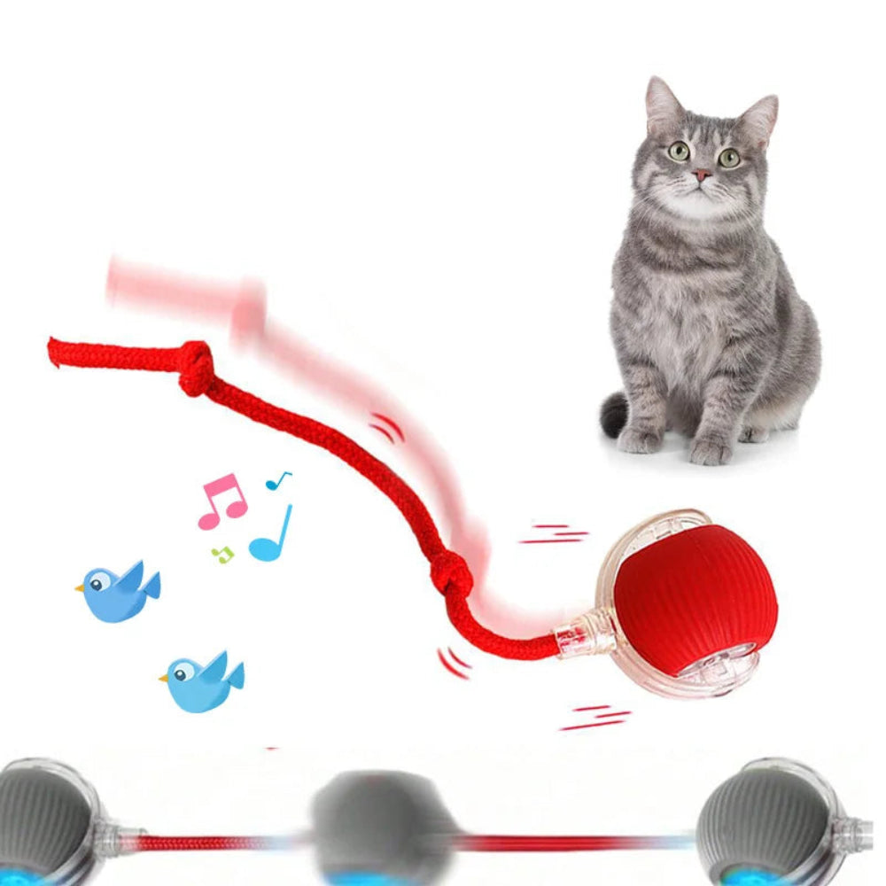 Bola Brinquedo Gato Elétrica Interativa - Rolante, Antitedio, Pelúcia, Divertida