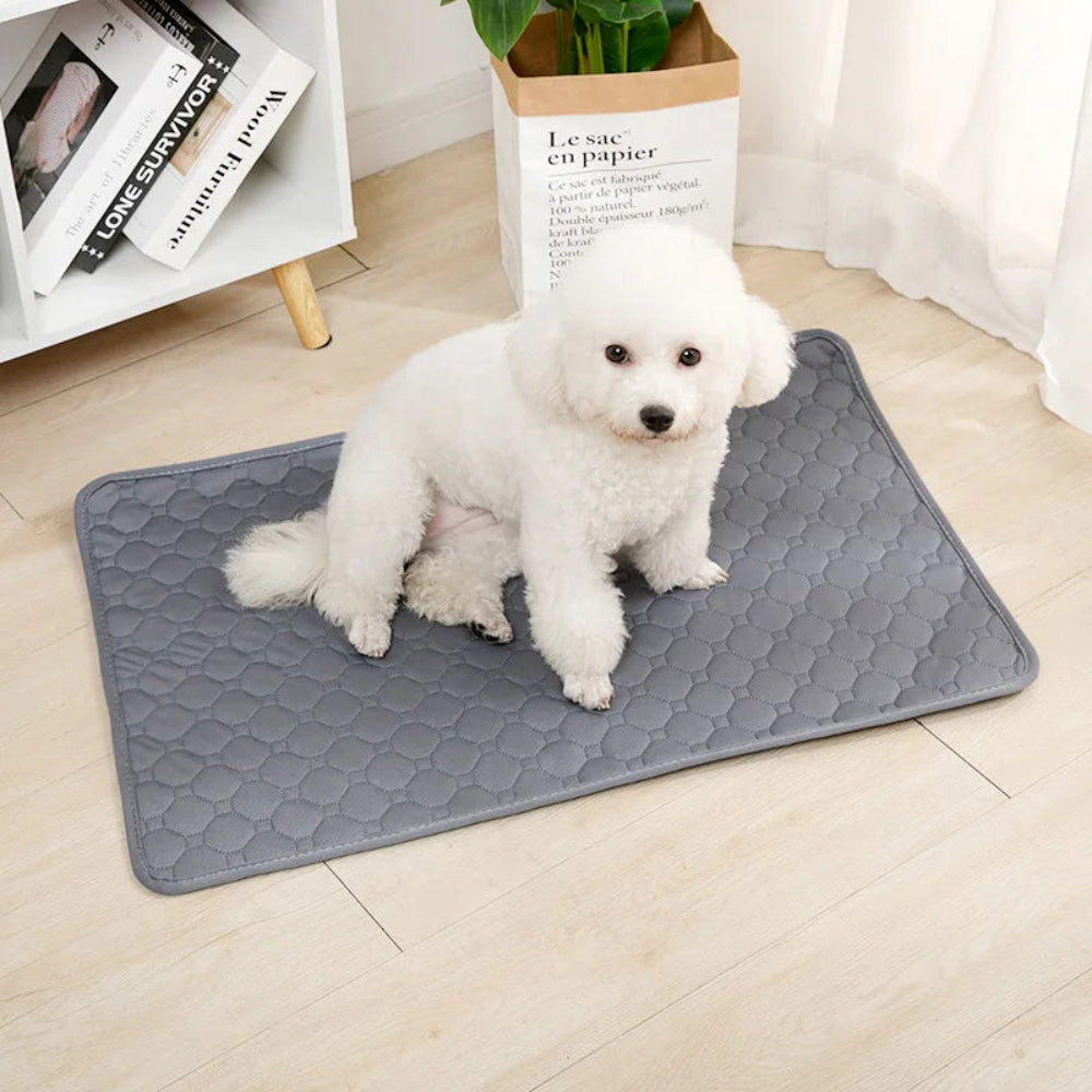 Almofada Urina Cão Reutilizável - 4 Camadas, Absorvente, Lavável, Treino/Cama/Carro