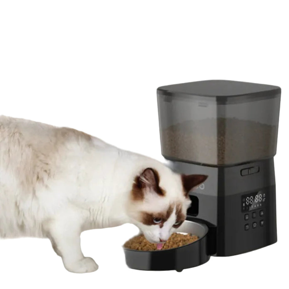Alimentador Automático ROJECO - Botão, LCD, Programável, Gatos/Cães, 50-200g
