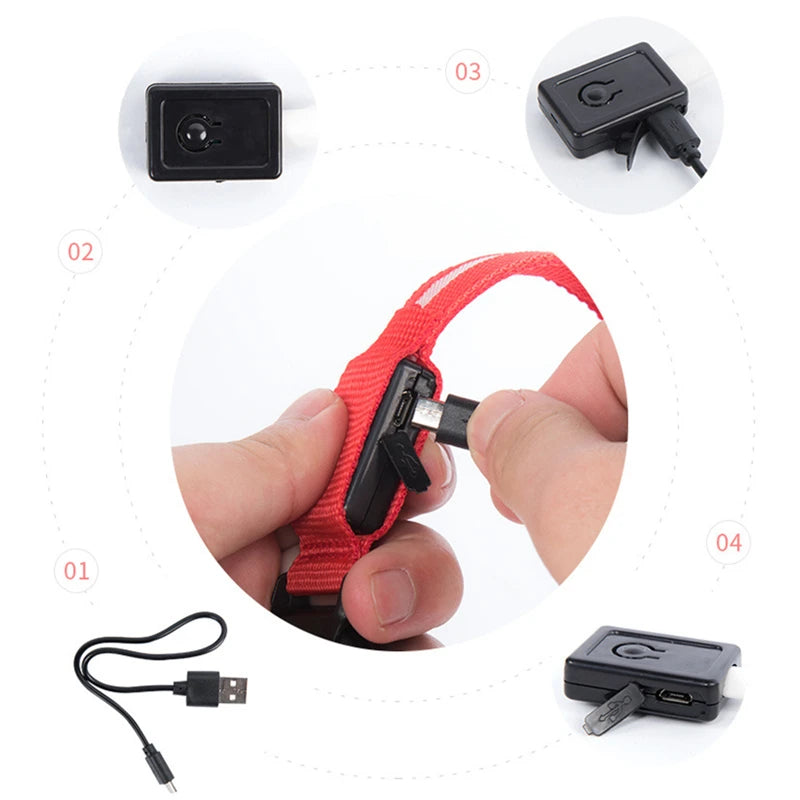 Coleira Luminosa LED Recarregável USB - Ajustável, Segura, Cães/Gatos, Visibilidade Noturna