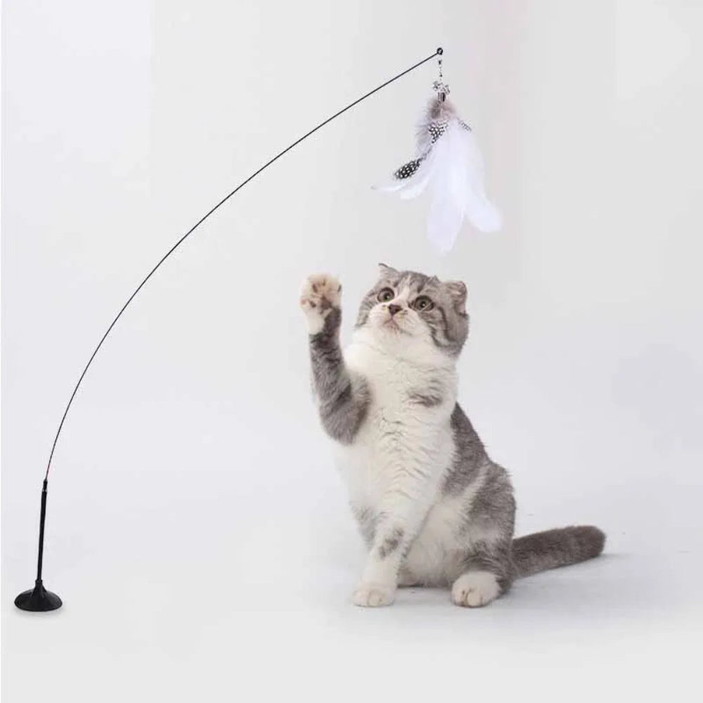 Brinquedo Interativo Gato Pena e Sino - Varinha, Ventosa, Destacável, Diversão Garantida