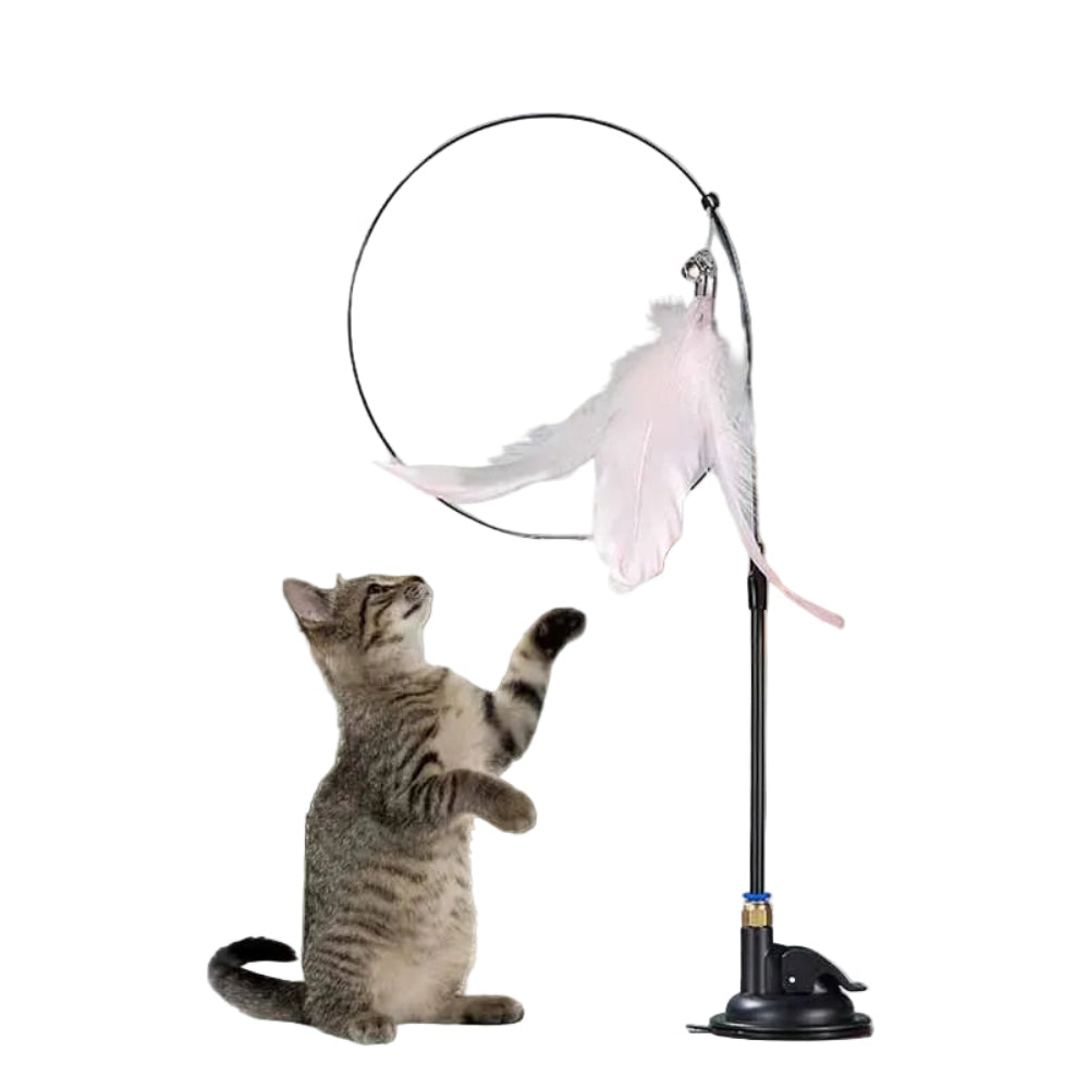 Brinquedo Interativo Gato Pena e Sino - Varinha, Ventosa, Destacável, Diversão Garantida