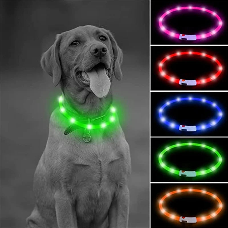 Coleira Luminosa LED Recarregável USB - Ajustável, Segura, Cães/Gatos, Visibilidade Noturna