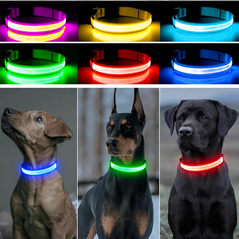 Coleira Luminosa LED Recarregável USB - Ajustável, Segura, Cães/Gatos, Visibilidade Noturna