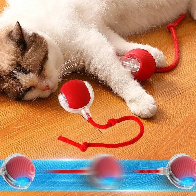 Bola Brinquedo Gato Elétrica Interativa - Rolante, Antitedio, Pelúcia, Divertida
