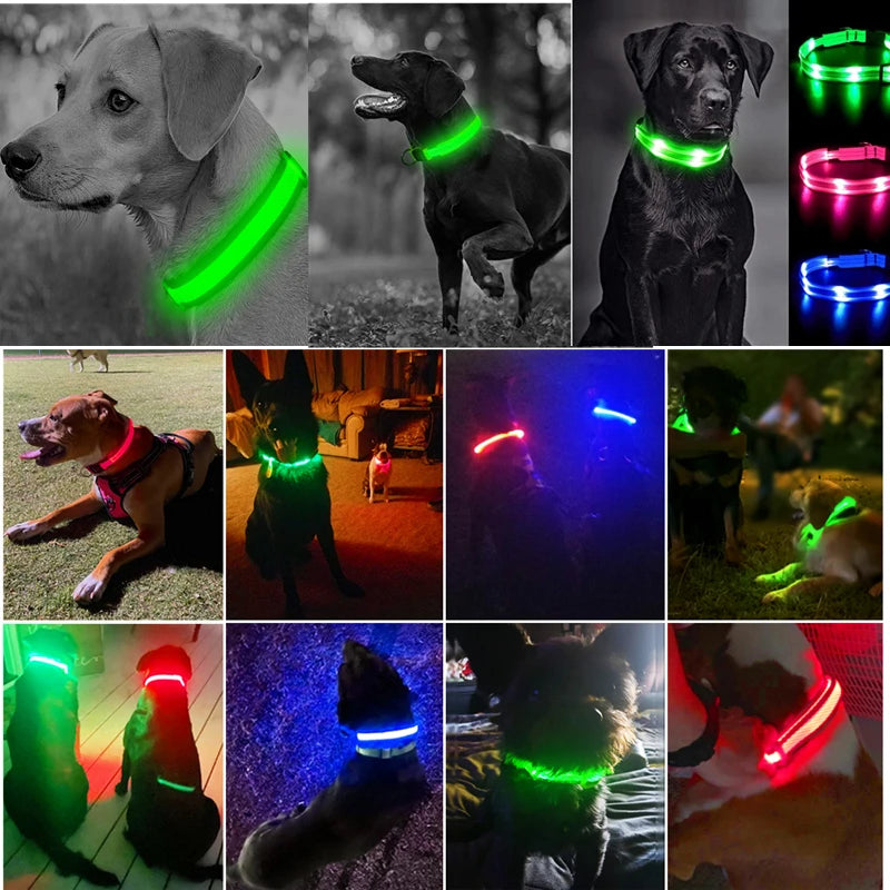 Coleira Luminosa LED Recarregável USB - Ajustável, Segura, Cães/Gatos, Visibilidade Noturna