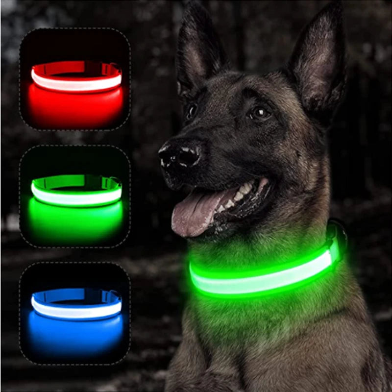 Coleira Luminosa LED Recarregável USB - Ajustável, Segura, Cães/Gatos, Visibilidade Noturna