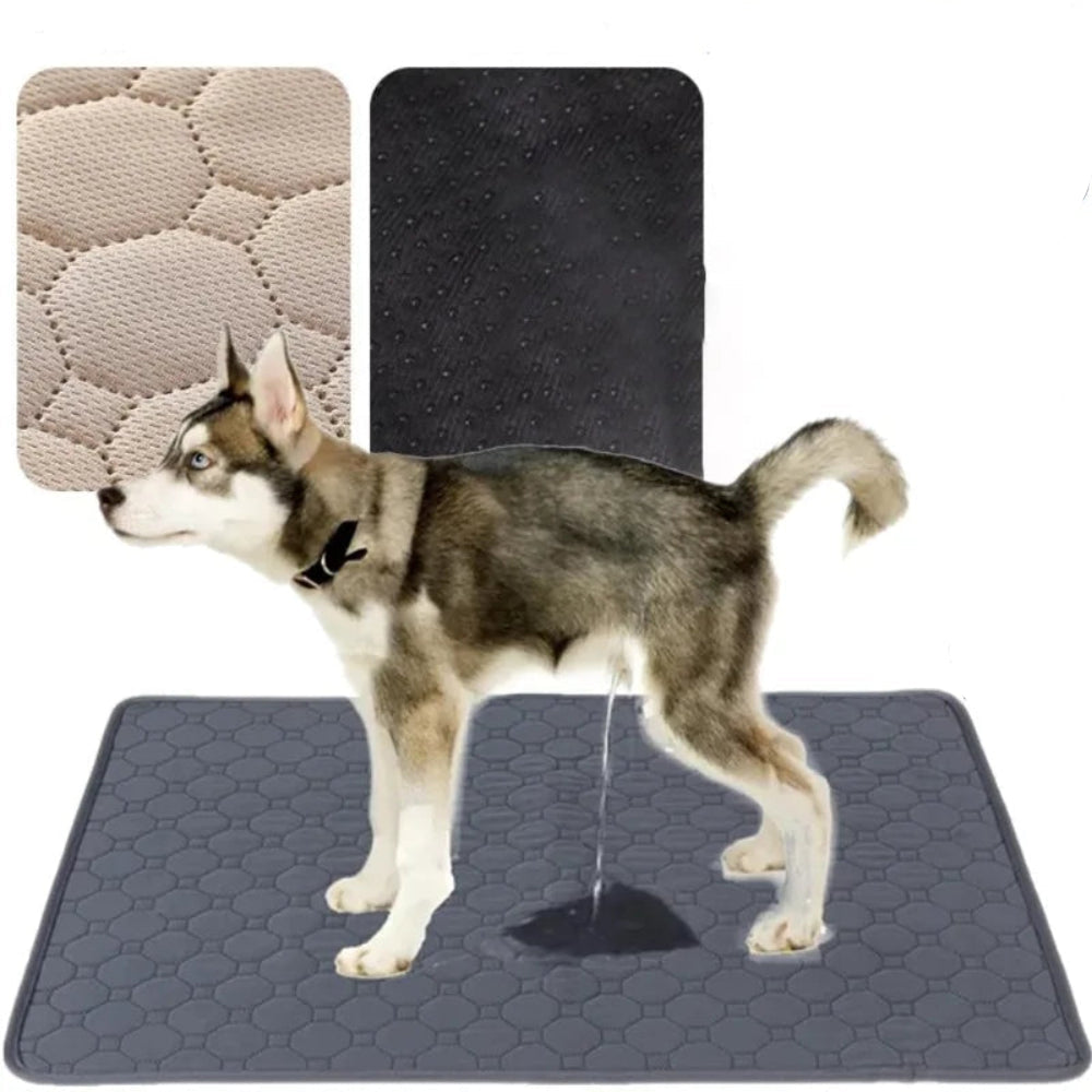 Almofada Urina Cão Reutilizável - 4 Camadas, Absorvente, Lavável, Treino/Cama/Carro