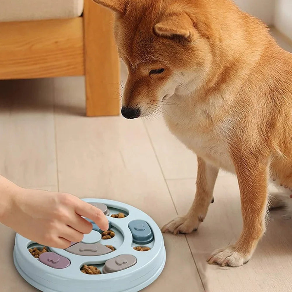 Tigela Comida Lenta Cães/Gatos - Brinquedo Educacional, Anti-Tédio, Alimentação Interativa