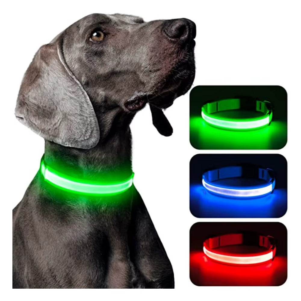 Coleira Luminosa LED Recarregável USB - Ajustável, Segura, Cães/Gatos, Visibilidade Noturna