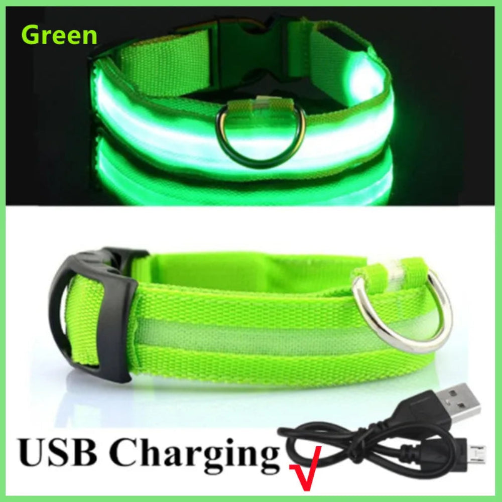 Coleira Luminosa LED Recarregável USB - Ajustável, Segura, Cães/Gatos, Visibilidade Noturna