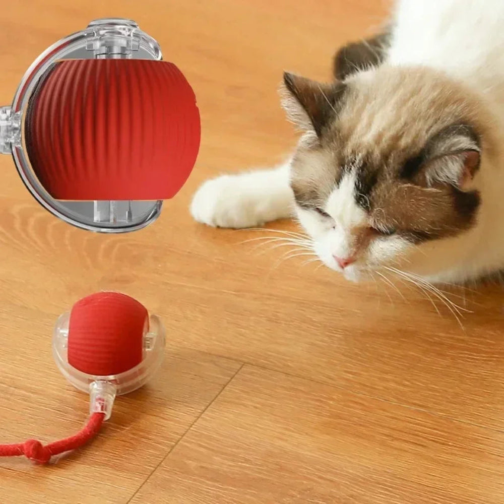 Bola Brinquedo Gato Elétrica Interativa - Rolante, Antitedio, Pelúcia, Divertida