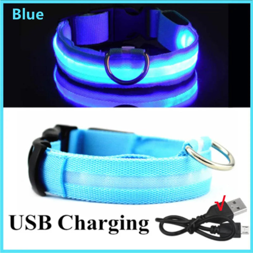 Coleira Luminosa LED Recarregável USB - Ajustável, Segura, Cães/Gatos, Visibilidade Noturna