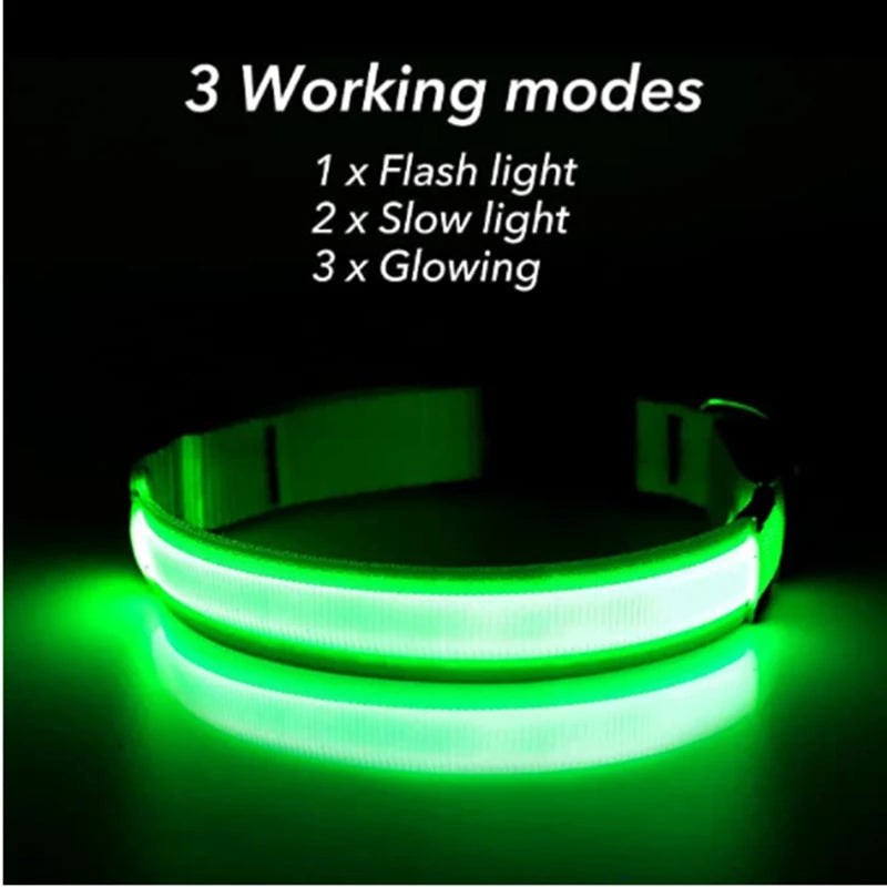 Coleira Luminosa LED Recarregável USB - Ajustável, Segura, Cães/Gatos, Visibilidade Noturna