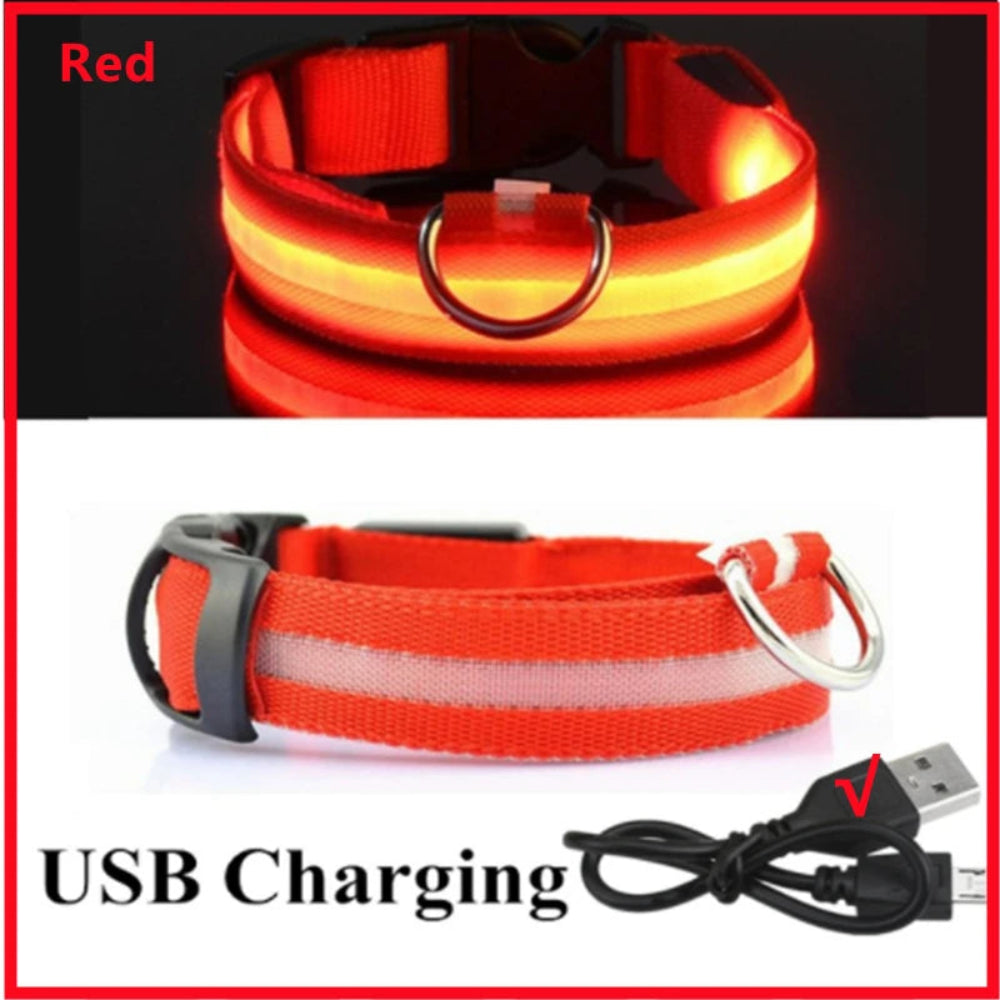 Coleira Luminosa LED Recarregável USB - Ajustável, Segura, Cães/Gatos, Visibilidade Noturna