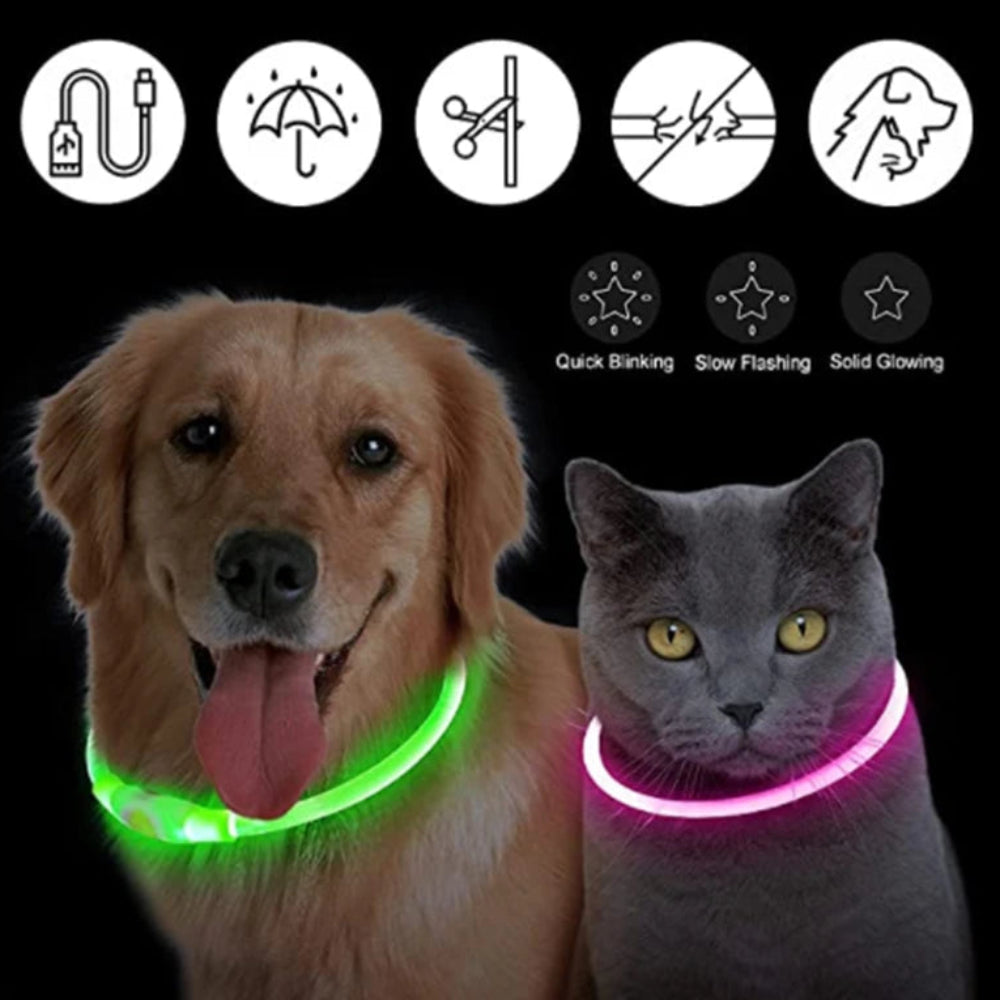 Coleira Luminosa LED Recarregável USB - Ajustável, Segura, Cães/Gatos, Visibilidade Noturna