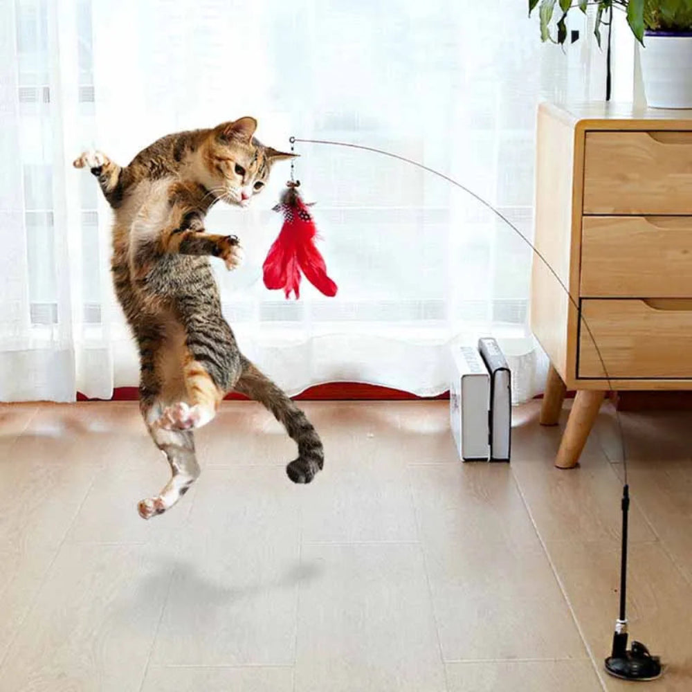 Brinquedo Interativo Gato Pena e Sino - Varinha, Ventosa, Destacável, Diversão Garantida