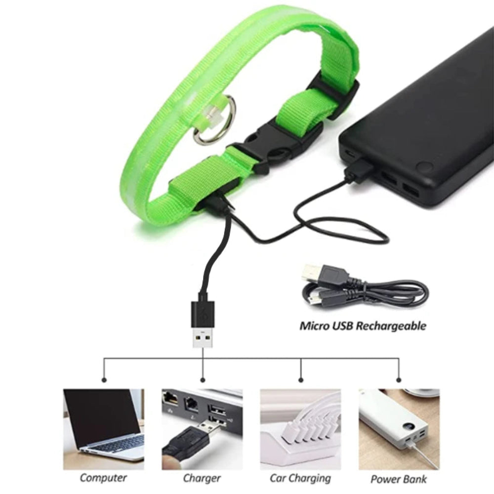 Coleira Luminosa LED Recarregável USB - Ajustável, Segura, Cães/Gatos, Visibilidade Noturna