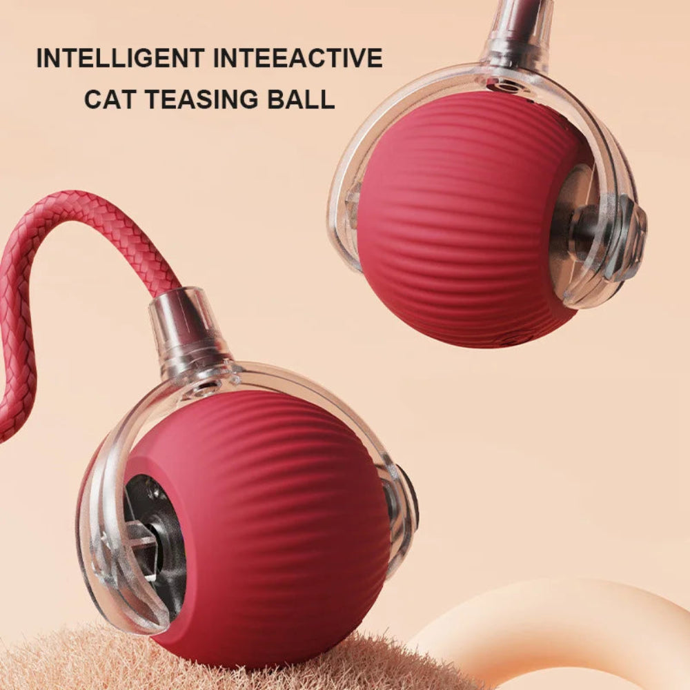 Bola Brinquedo Gato Elétrica Interativa - Rolante, Antitedio, Pelúcia, Divertida