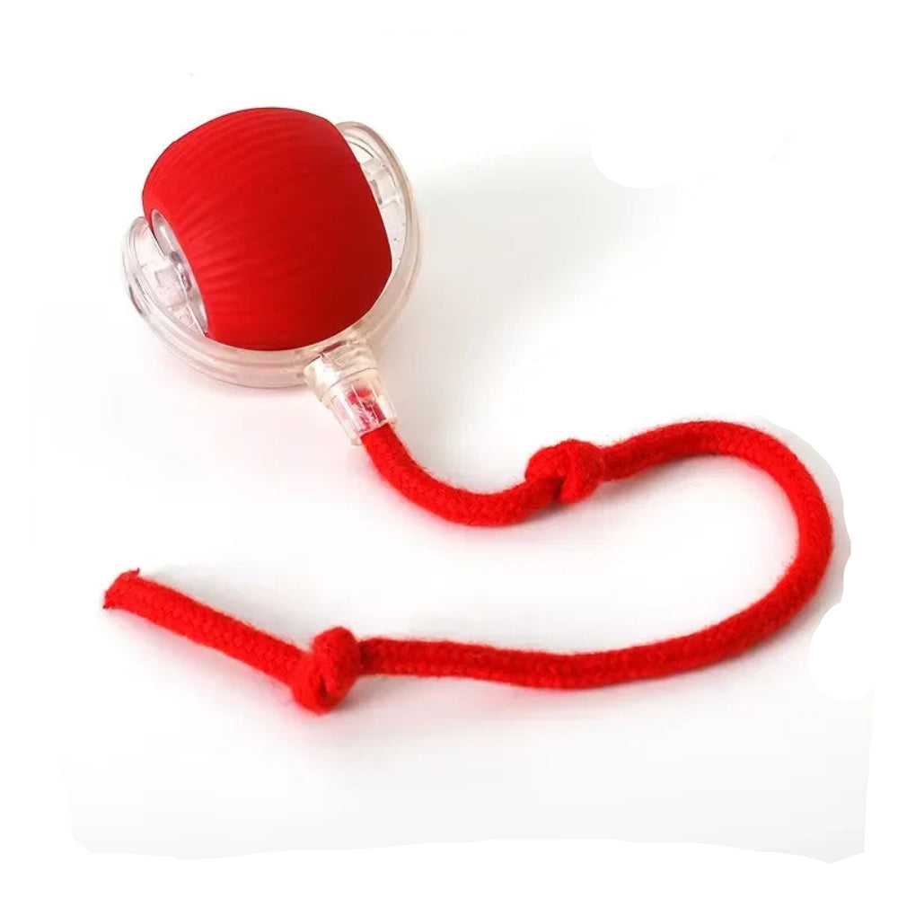 Bola Brinquedo Gato Elétrica Interativa - Rolante, Antitedio, Pelúcia, Divertida