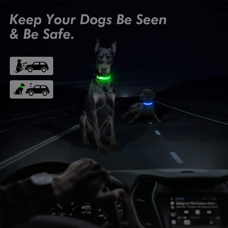 Coleira Luminosa LED Recarregável USB - Ajustável, Segura, Cães/Gatos, Visibilidade Noturna