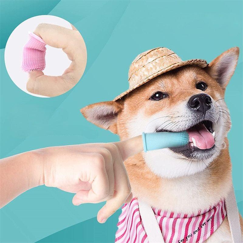 Escova Dentária em Silicone para Cães - Deka Express